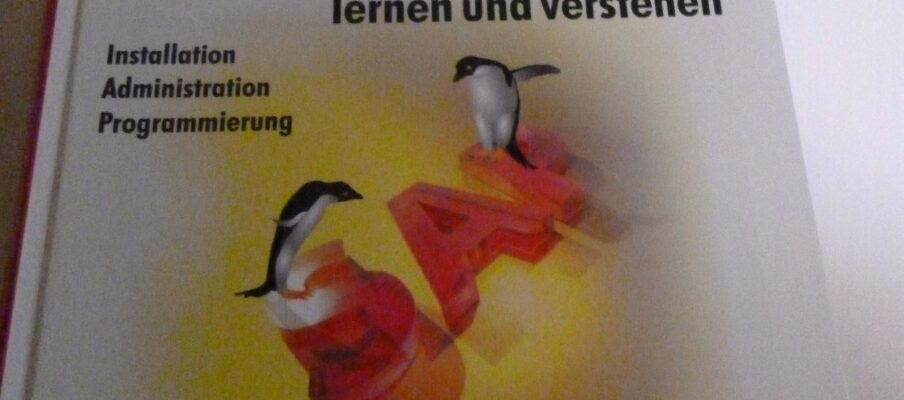 Werbung zu meinem Buch: SAP R/3, Verlag: CuL, ISBN-10: 393231199X